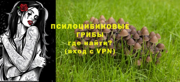 дмт Абинск