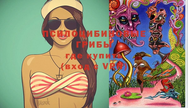 винт Рославль