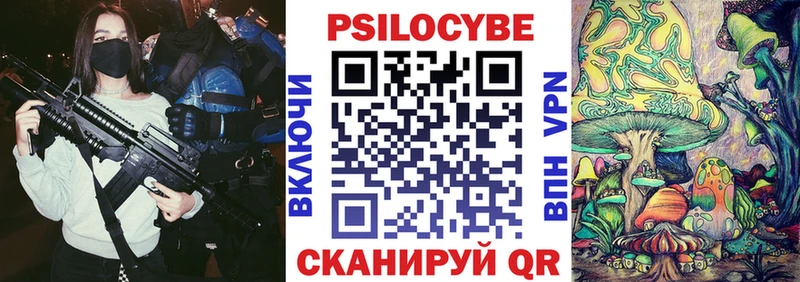 где можно купить   Бежецк  Псилоцибиновые грибы ЛСД 